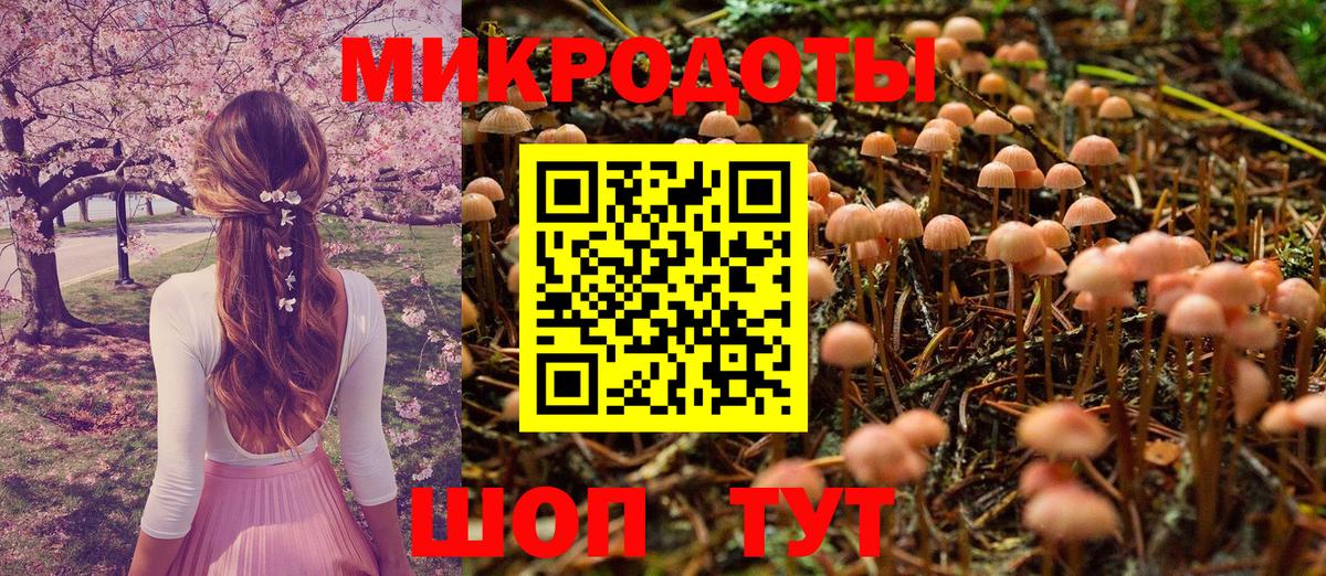 Галлюциногенные грибы прущие грибы  Псилоцибиновые грибы Psilocybe  Нижневартовск  Вход с VPN 
